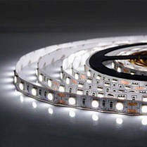 Светодиодная лента OEM SMD5050-60 IP20 холодный белый, негерметичная, 1м