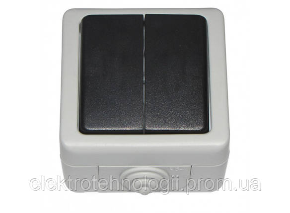 Выключатель двойной IP 54 Luxel Debut серый