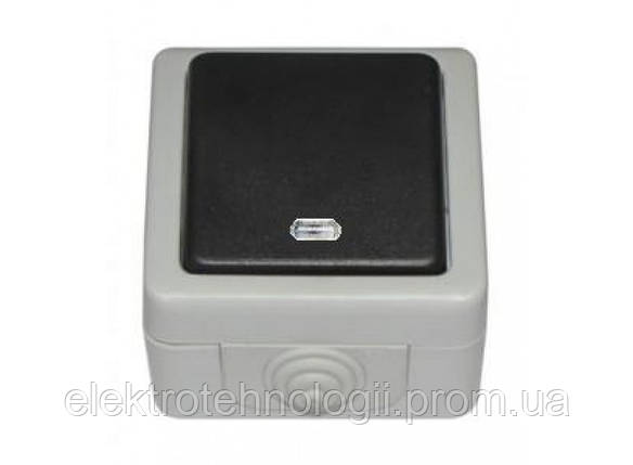 Выключатель с подсветкой IP 54 Luxel Debut серый