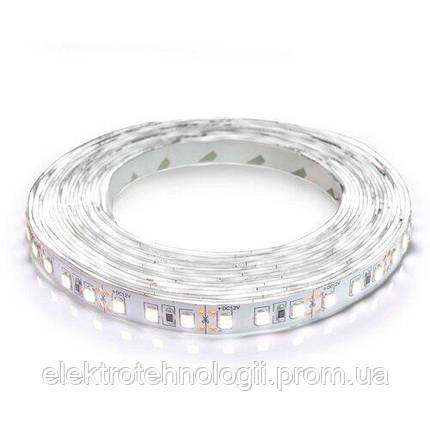 Светодиодная лента B-LED SMD2835-120 IP20 нейтральный белый, негерметичная, 1м