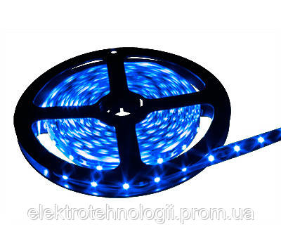 Светодиодная лента SMD5050-60 IP65 синяя 1м