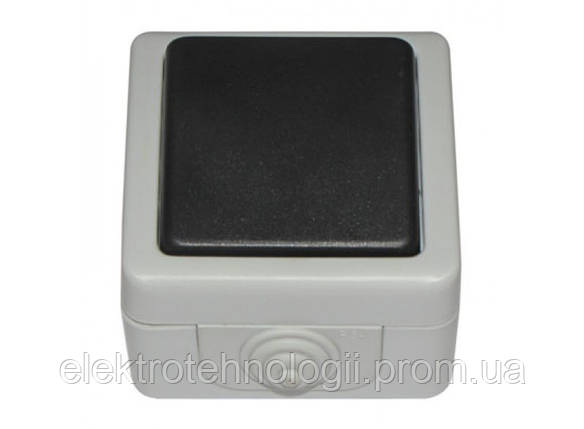 Выключатель IP 54 Luxel Debut серый