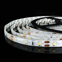Светодиодная лента OEM SMD2835-60 IP65 холодный белый, герметичная, 1м