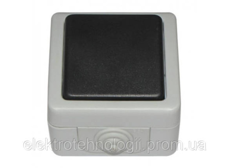 Выключатель IP 54 Luxel Debut серый