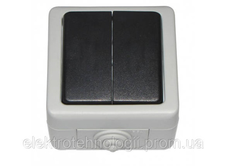 Выключатель двойной IP 54 Luxel Debut серый