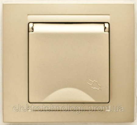 Розетка с заземлением и крышкой Gunsan Moderna Metallic золото