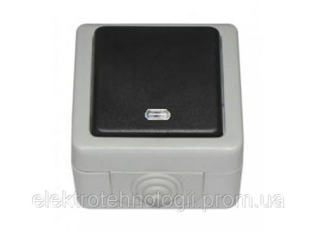 Выключатель с подсветкой IP 54 Luxel Debut серый